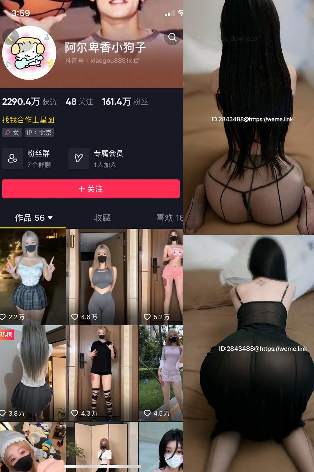 抖音 阿尔卑香小.. 微密圈-抖音快手觅圈