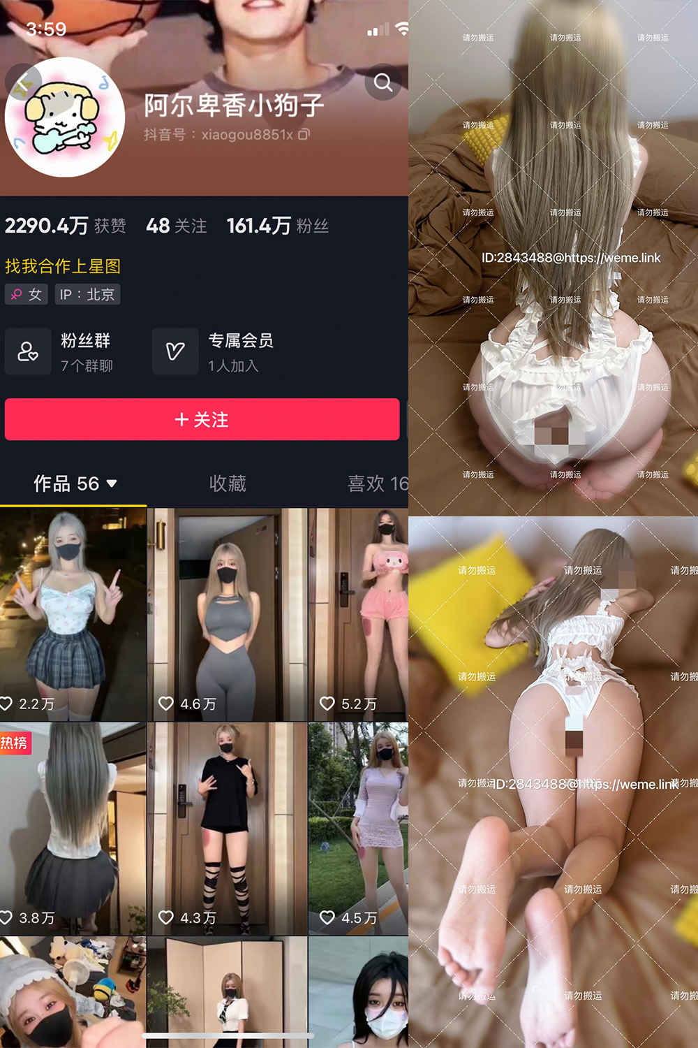 抖音 阿尔卑香小.. 微密圈-抖音快手觅圈