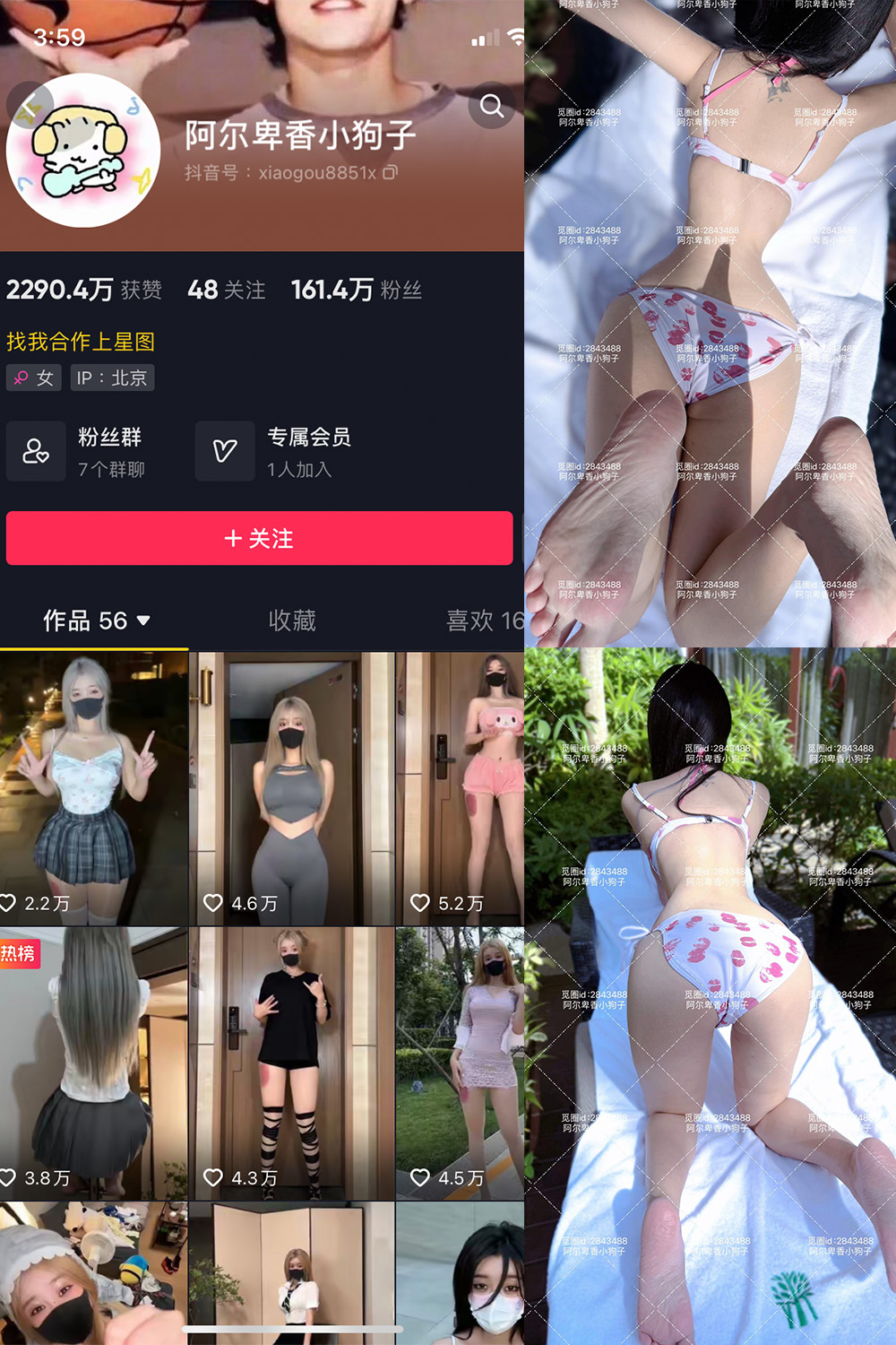 抖音 阿尔卑香小.. 微密圈-抖音快手觅圈